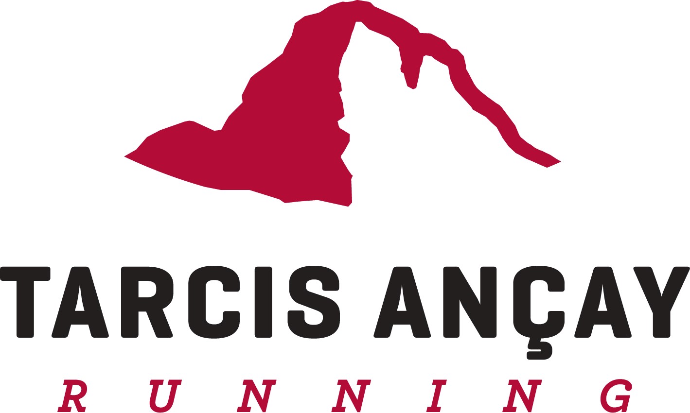 Tarcis Ancay
